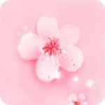 一天可以看25次的芒果视频免费版