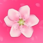 九一短视频app免费下载