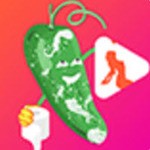 红颜直播最新苹果版