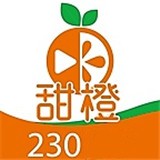 Diy101私家车app