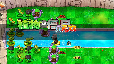 植物大战僵尸真无双版0