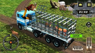 野生动物狩猎游戏Animal Chase2